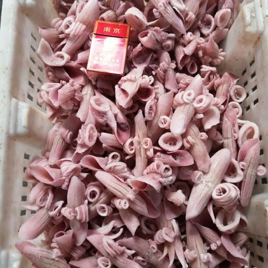 荣成市真鱿 品质牛角花