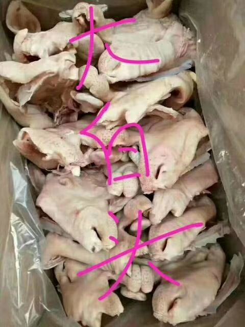 羊头