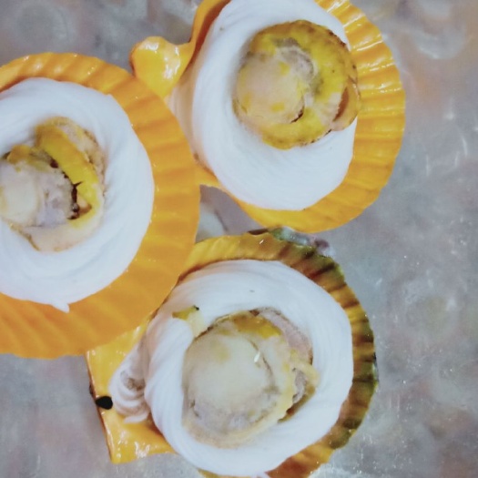 佛山黄金贝  湛江粉丝扇贝