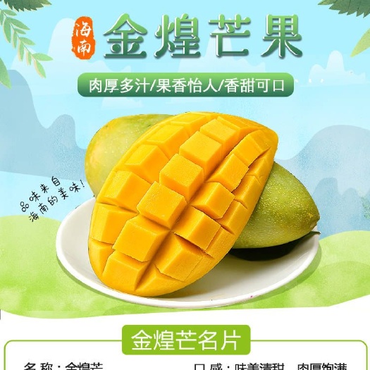 海南金煌芒100一400克一个，5斤10斤装