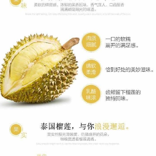 凭祥市金枕头榴莲  3 - 4公斤 现货，坏果包赔，需求量大可咨询