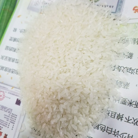 合肥五常大米 一季稻 粳米 一等品 