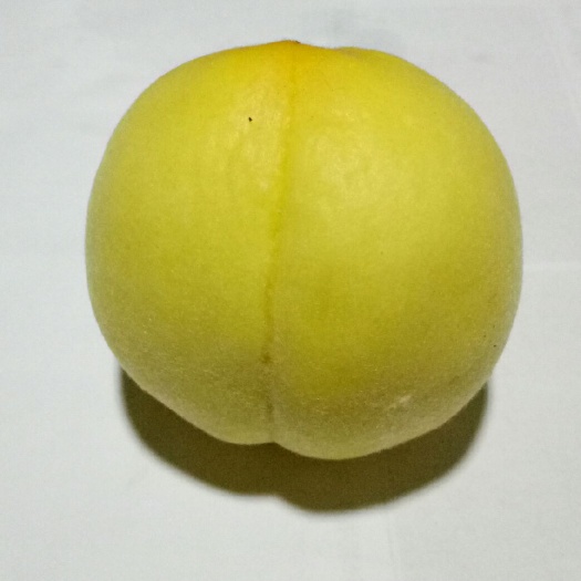 蒙阴县黄金蜜黄桃，清甜爽口，早桃中的佼佼者