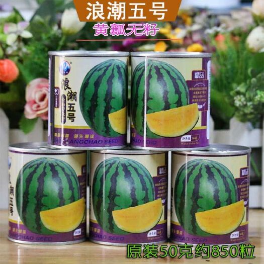 大果花皮黄瓤黄肉无籽西瓜种子浪潮五号礼品瓜特大甜王口感好