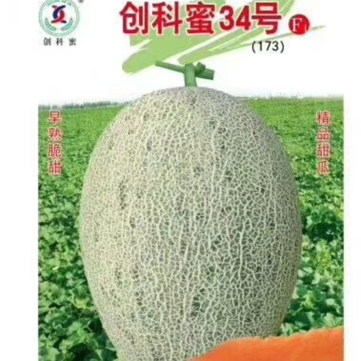 昌吉市青花蜜种子 创科密34号~早熟大果抗病抗裂性强产量高网纹好品