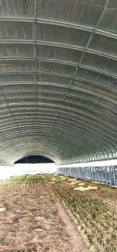 怀远县养殖大棚 种植养殖棚  冬暖夏凉防火抗压  防鼠