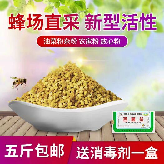 长葛市蜂具  养蜂喂蜂专用花粉蜜蜂花粉蜂花粉油菜杂粉蜜蜂饲料颗粒养蜂工具