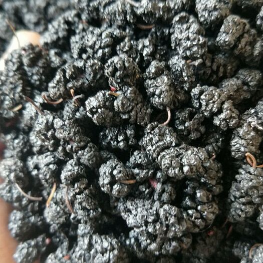 盐源县优质桑葚干，价格便宜质量特别好，一手货源