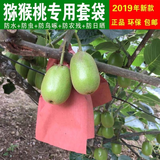 苍溪县猕猴桃套袋 猕猴桃专用套袋120*160