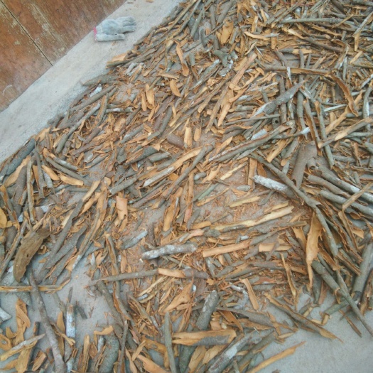 平南县普通桂皮 产地桂碎