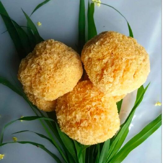 古田县 天然丑耳，每个都是精挑选保证了菇的品质每个都饱满色泽金黄