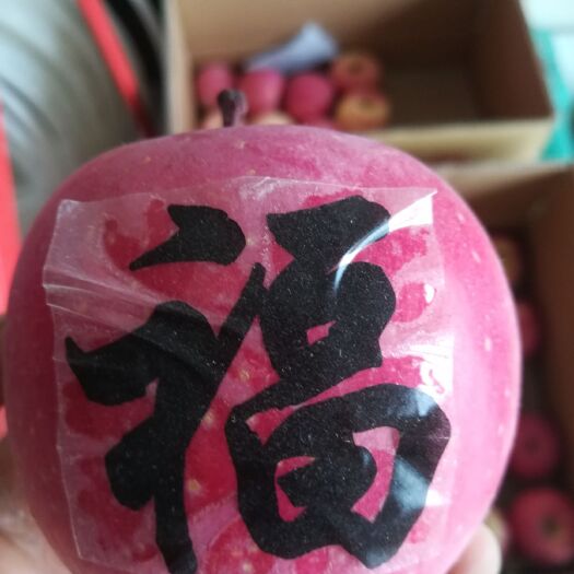 庄浪县首红苹果 80mm以上 片红 纸+膜袋