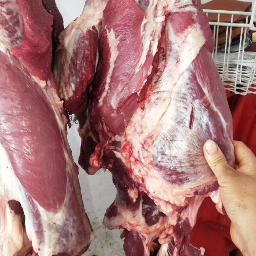 阳信县牛肉类  纯干新鲜牛腱，肉质优，价格美丽，一手货源大量批发