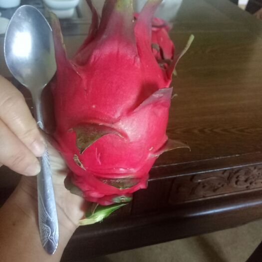 仙游县 红心火龙果