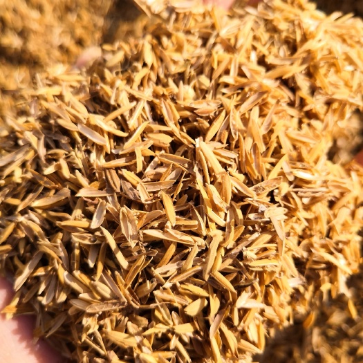 稻壳  自然农耕种植 无农药化肥除草剂 质量优