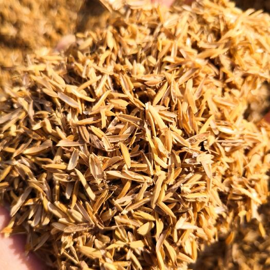 黄梅县稻壳  自然农耕种植 无农药化肥除草剂 质量优