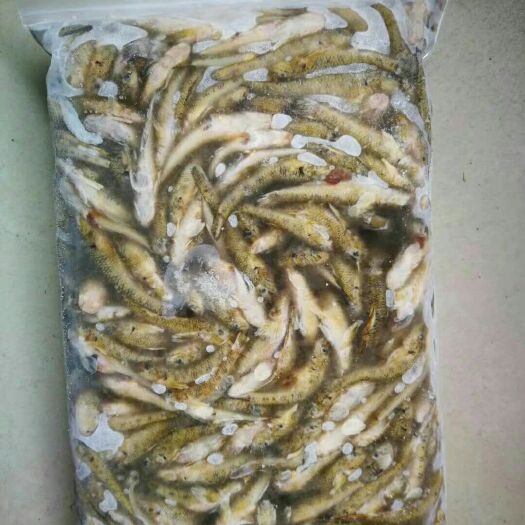 前郭县冰冻小黄鱼