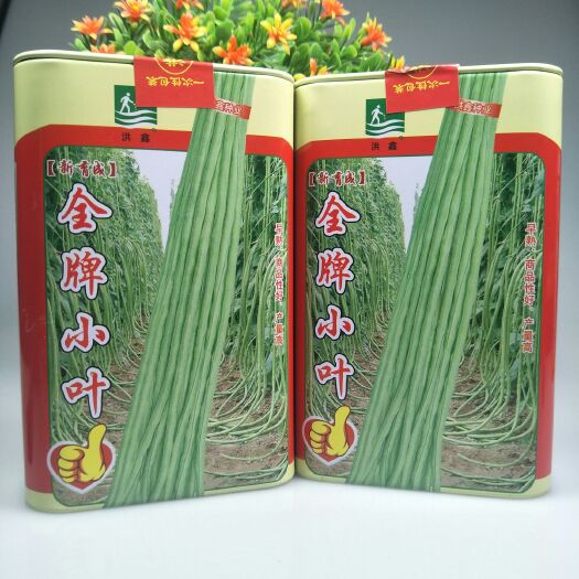 长青豆角种子 小叶特长长豆角 小五叶肉质脆嫩 荚长直不弯