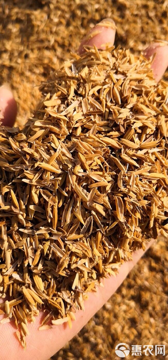 稻壳  自然农耕种植 无农药化肥除草剂 质量优