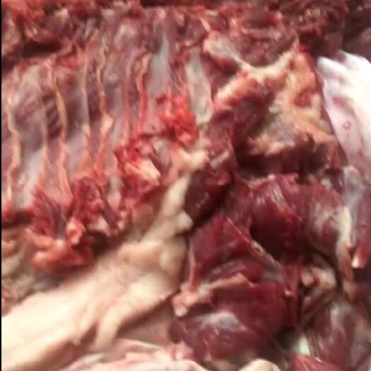阳信县 山羊肉