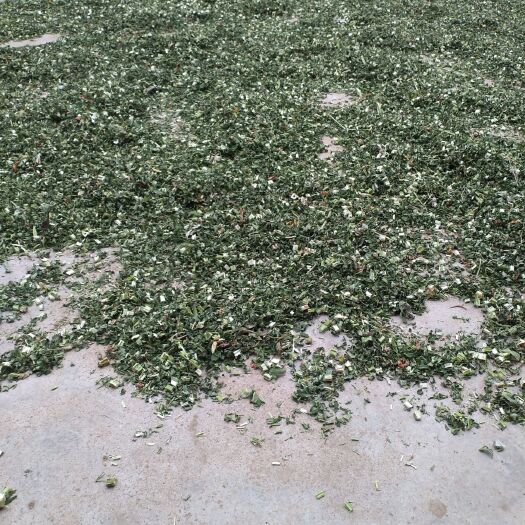 枣阳市 益母草片