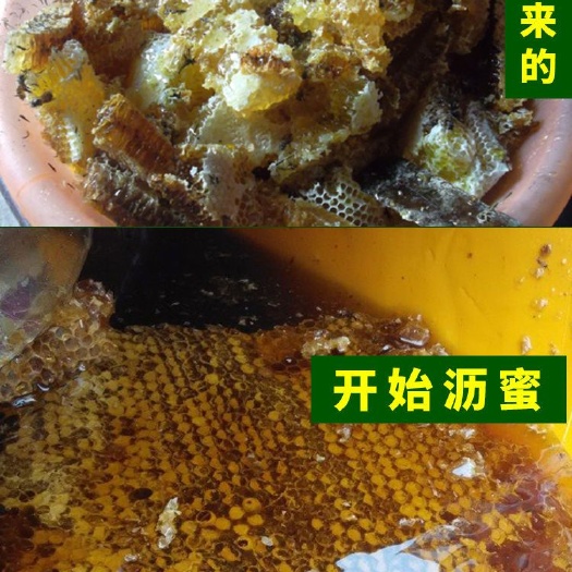 泗水县 百花蜜，槐花蜜，枣花蜜