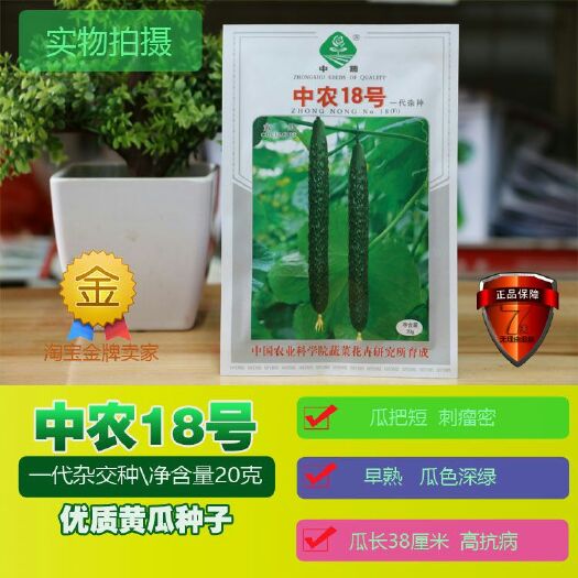樟树市 中农18杂交黄瓜种子 油亮型早熟密刺高产型抗病强