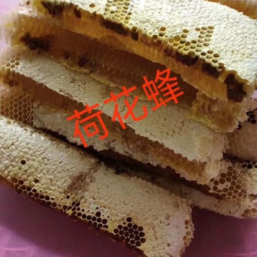 高州市中蜂 优质蜂王，靓子脾，蜂量足，欢迎来场参观指导