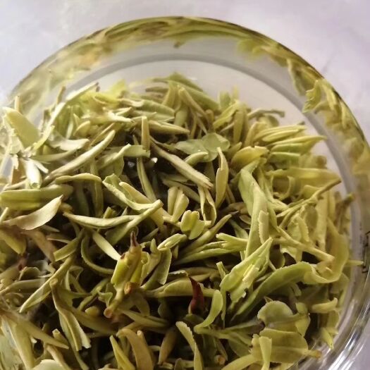 日照 日照绿茶