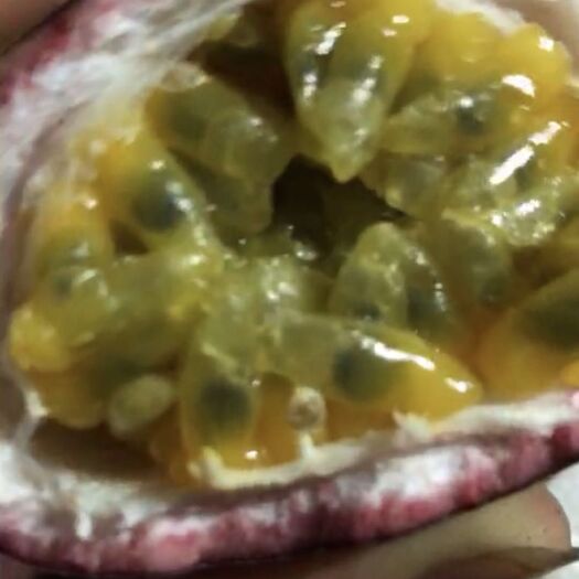 灵山县紫香一号百香果 优质货源