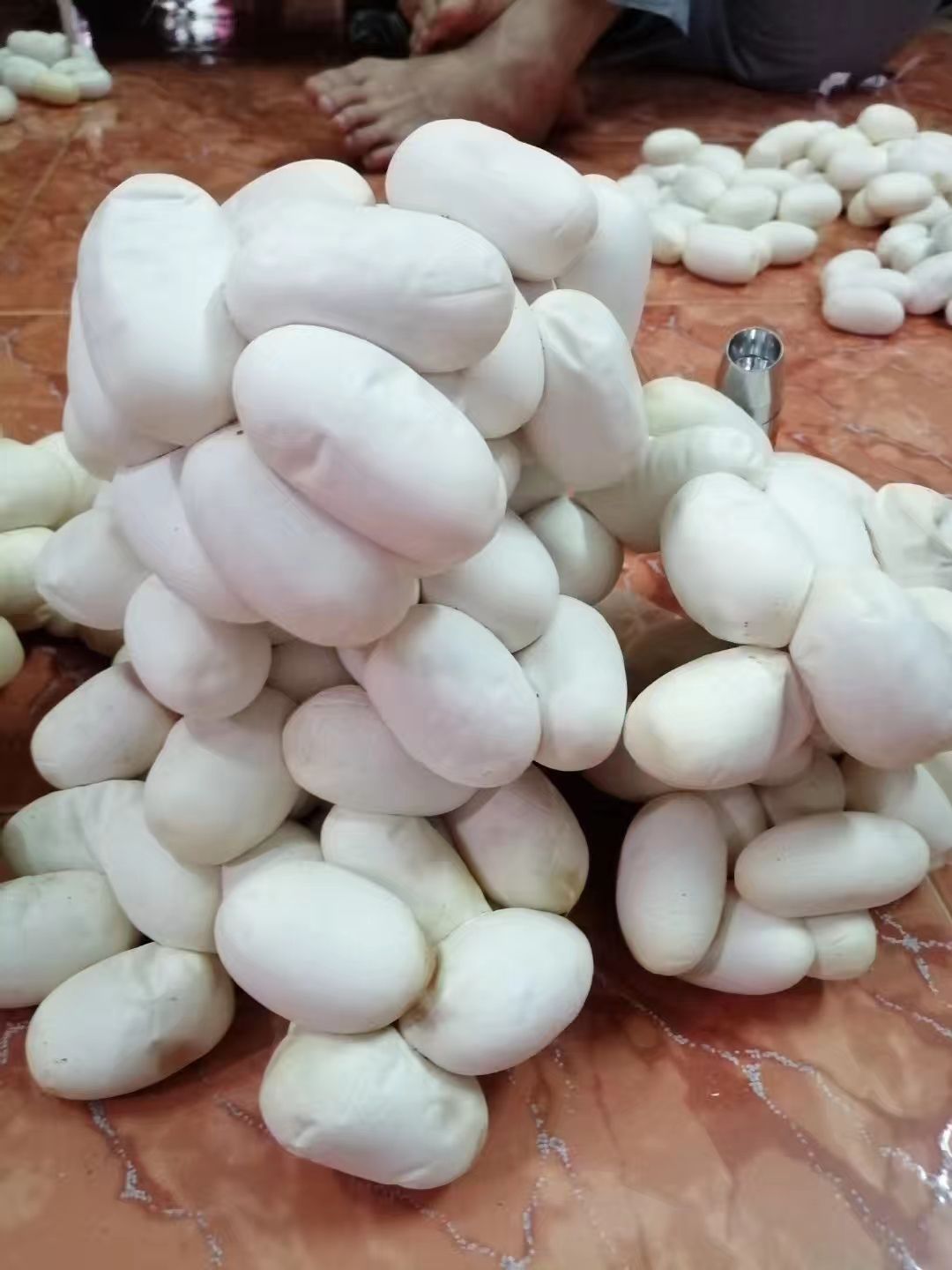 [毛蛋批发]毛蛋 灵山养蛇之乡灵山蛇蛋价格22元