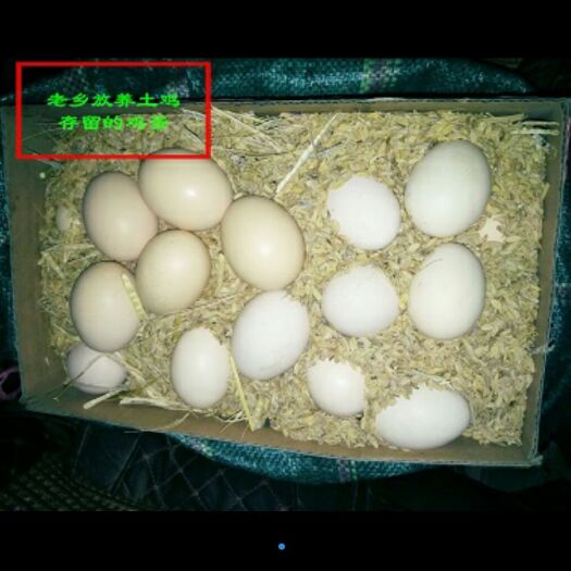 南华县土鸡蛋 食用 散装