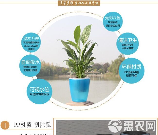 水培容器 懒人花盆 自动吸水仿陶塑料盆 绿植水培大号树脂盆内篮+棉绳