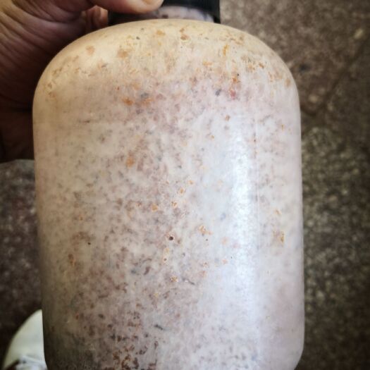 织金县菌包袋  红托竹荪栽培菌包
