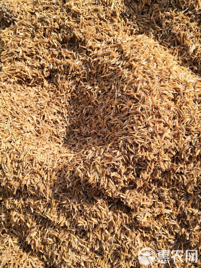 稻壳  自然农耕种植 无农药化肥除草剂 质量优