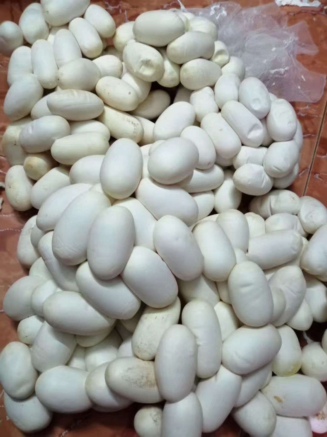 [毛蛋批发]毛蛋 灵山养蛇之乡灵山蛇蛋价格22元