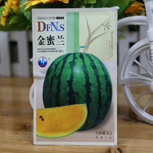 大果金蜜兰花皮黄瓤黄肉西瓜种子高档礼品瓜四季水果原装15克