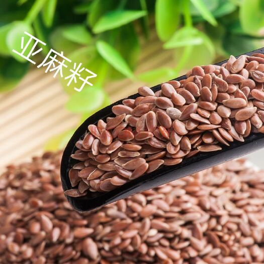 成都亚麻籽，色选亚麻籽，咖啡色胡麻仁，光泽度好，颗粒饱满干净！