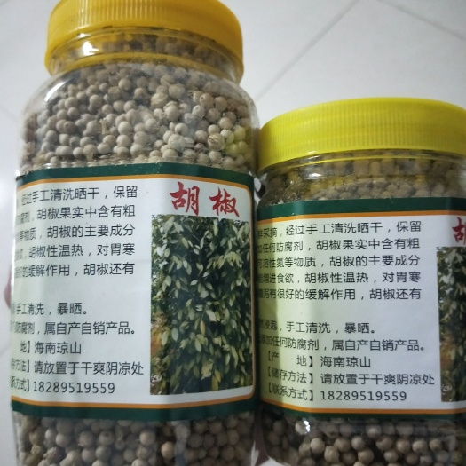 海口白胡椒 自家地供应