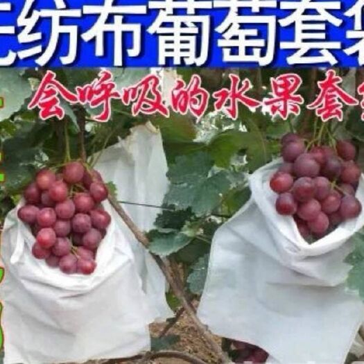 桐城市葡萄套袋 专业水果套袋