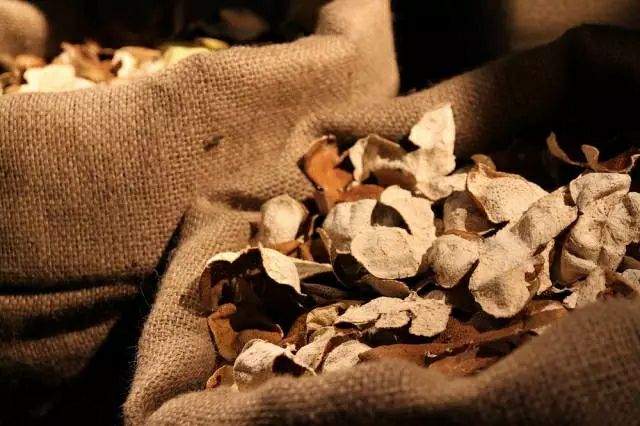  正宗新会原产地陈皮500克装