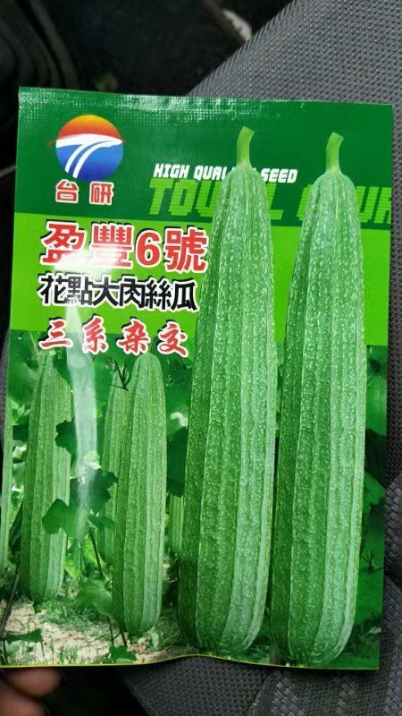 兴安县 本人有盈豐6号花点大肉丝瓜，可代收，有诚意的老板可联系