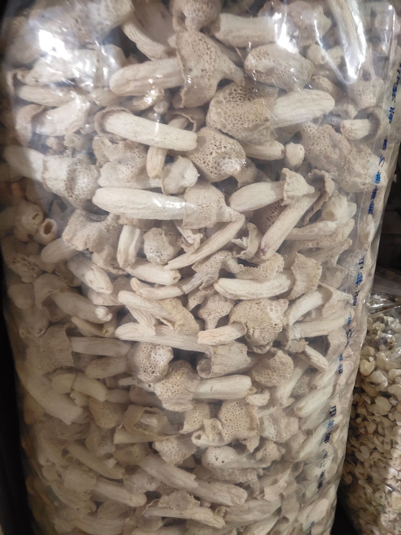 冬荪  货好 货干 肉厚  好好好好好好好好好好好好好好好好好好好好