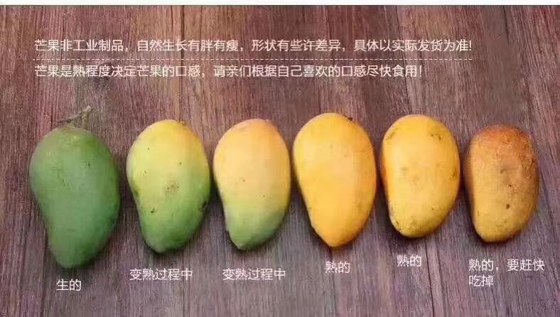  今天的小台农芒，有现货，现货。看懂的来