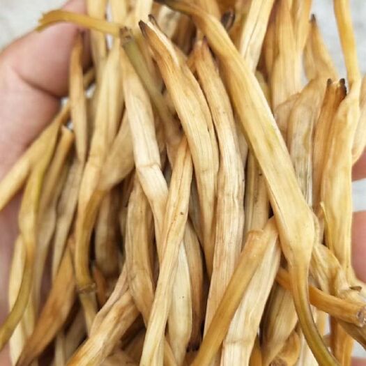 陕西渭南大荔干黄花菜蔬菜直供