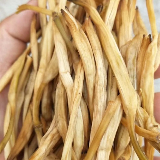 大荔县陕西渭南大荔干黄花菜蔬菜直供
