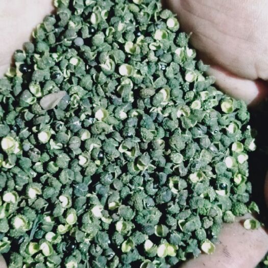 滕州市 新青麻椒开市，干花椒，特级，绿，麻