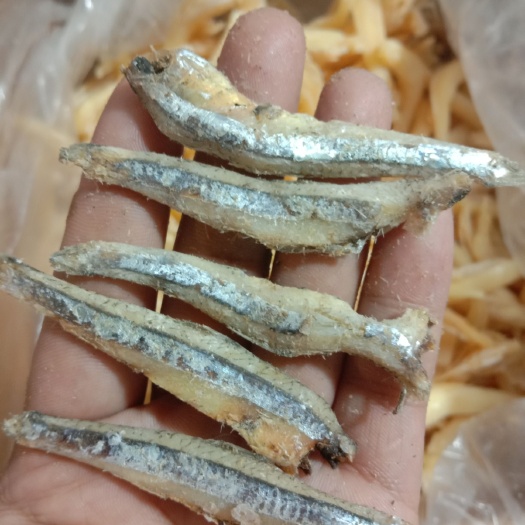信宜市公鱼干  公干鱼 黑熟公鱼，肉质结实，任煲，炆都不易烂。