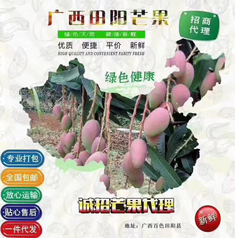  今天的小台农芒，有现货，现货。看懂的来
