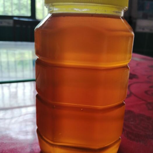 西安土蜂蜜 封盖蜂谁见过